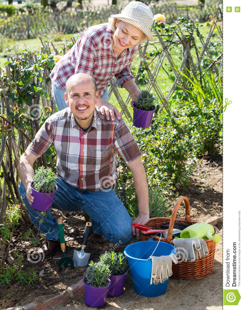Some Gardening Stock Image Image