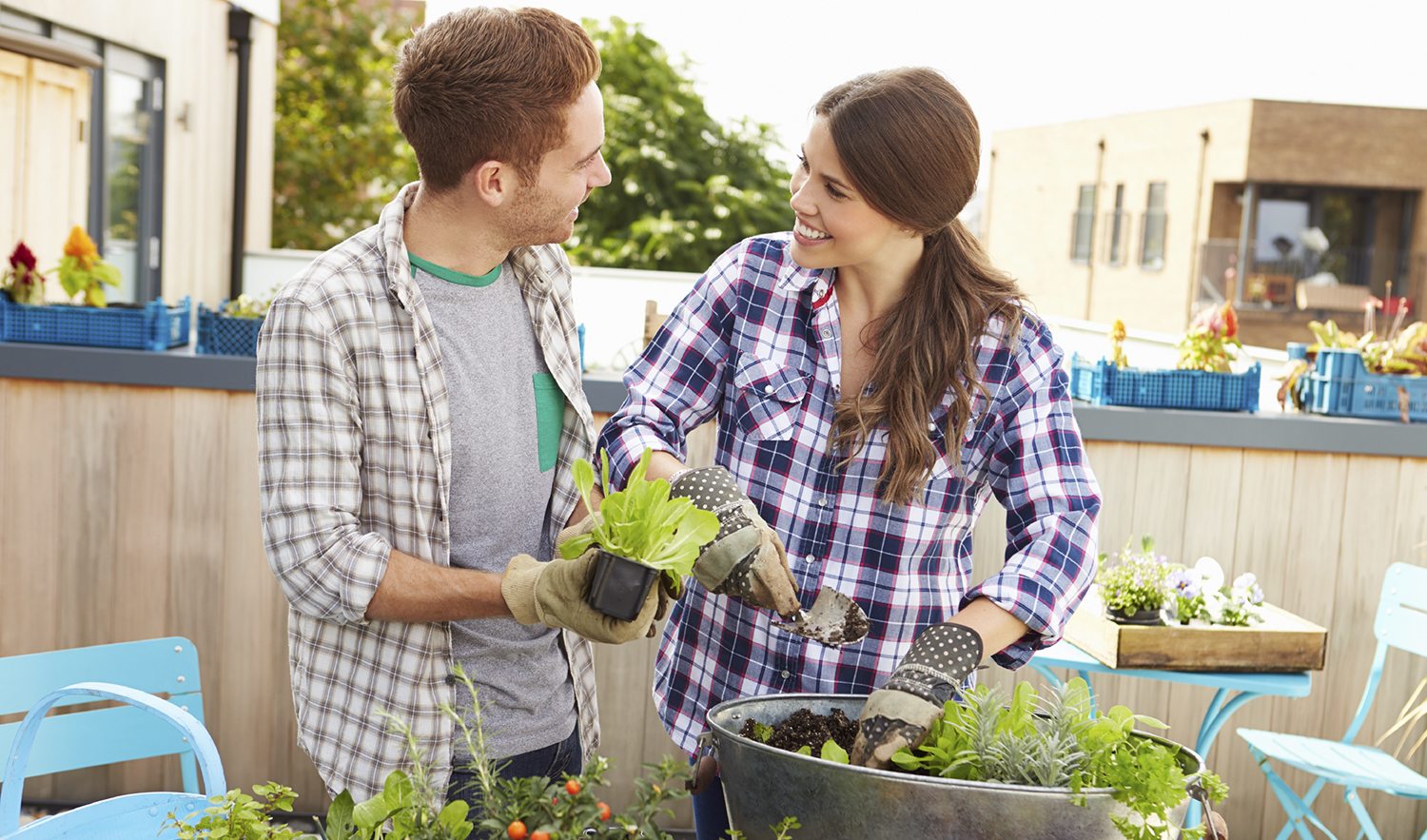 The Garden Stock Photo Image