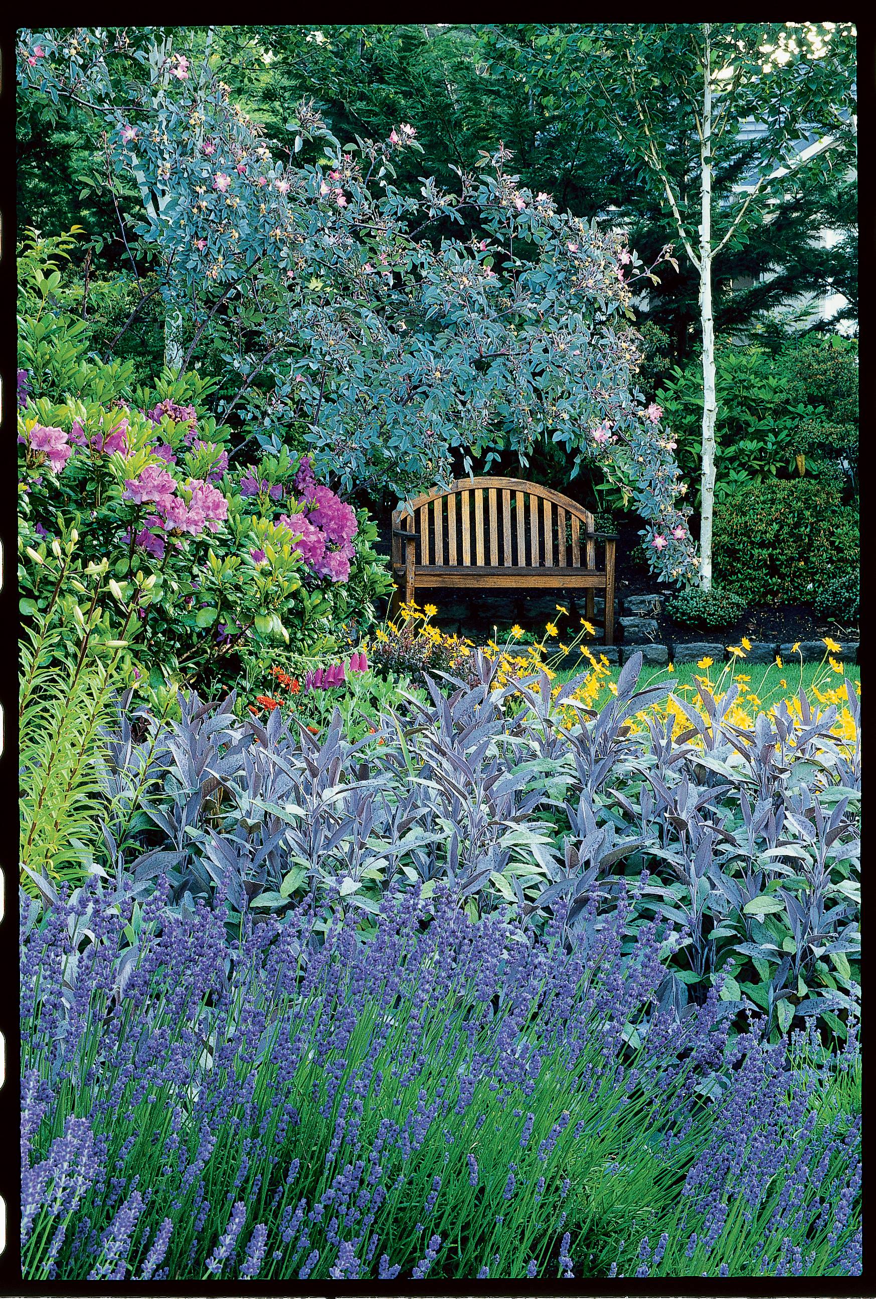 Fantastic Cottage Garden Ideas