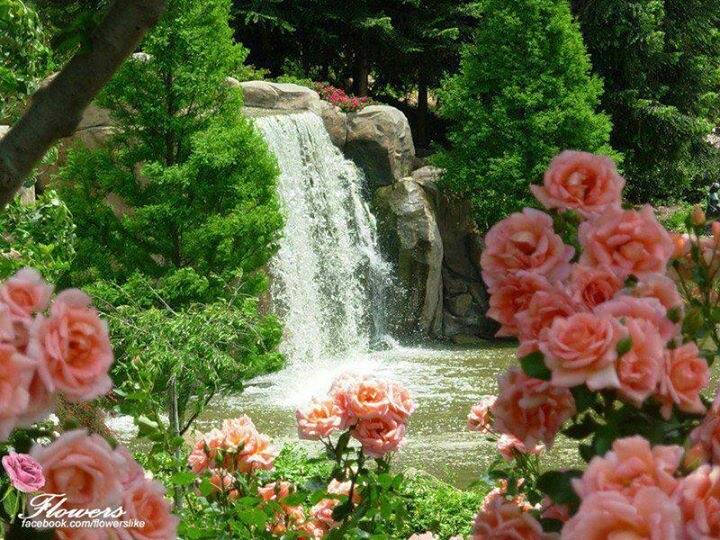Wendy Mckennon Garden Waterfall