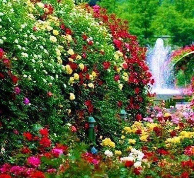 Photo Garden Fountains
