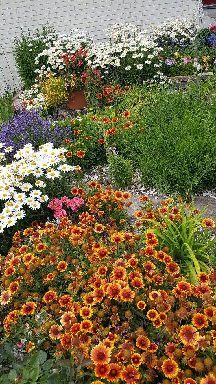 A Cottage Garden And Design Ideas