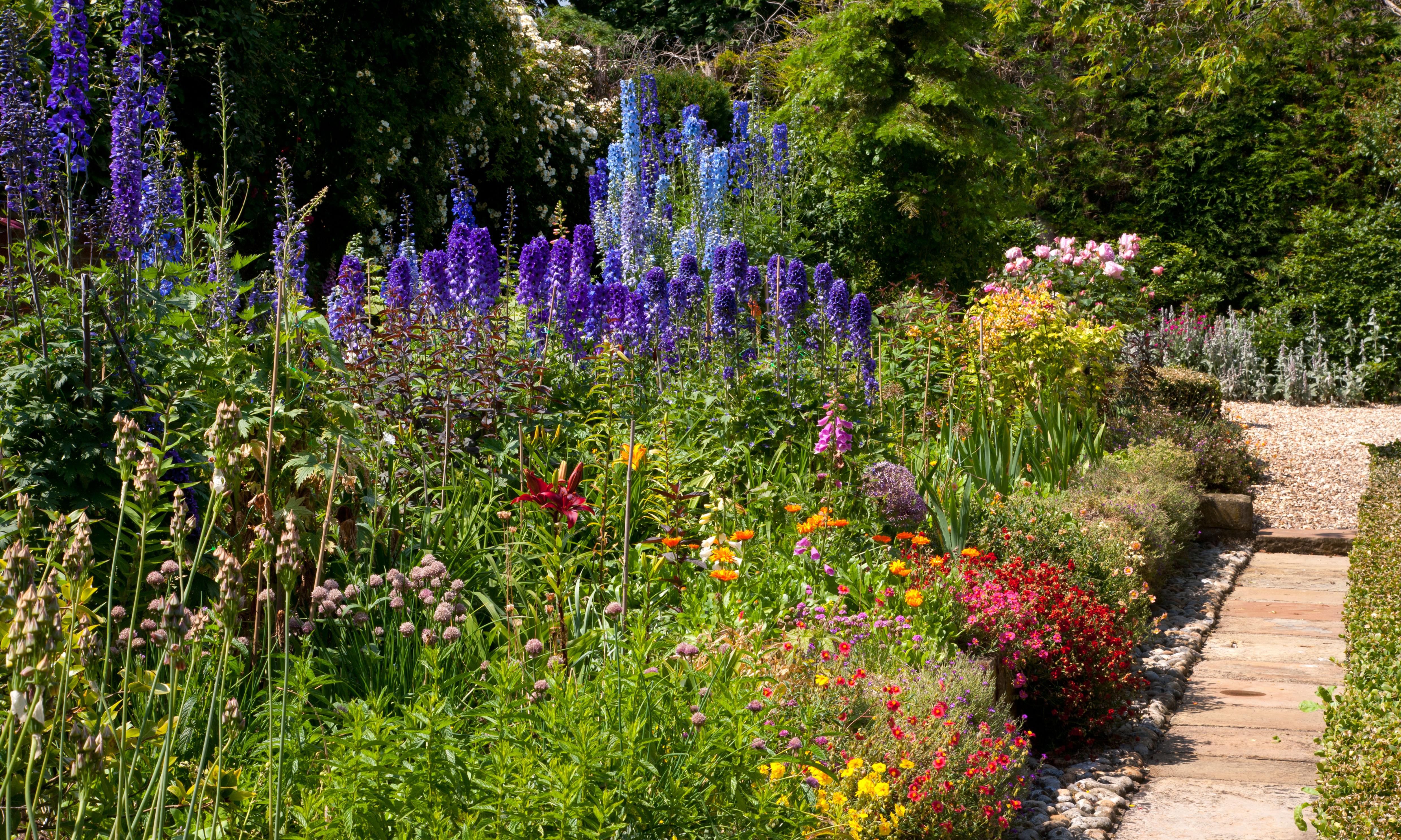 Perennial Cottage Garden Mojavecottagegarden Cottage Garden