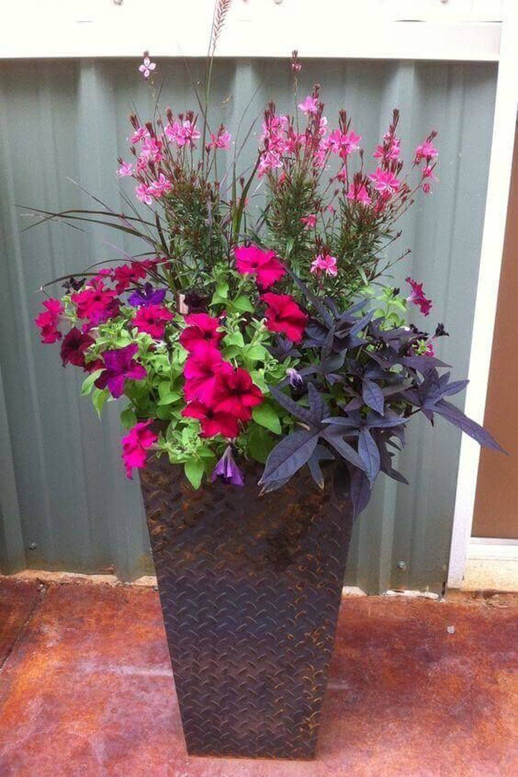 Our Best Butterfly Container Garden Ideas