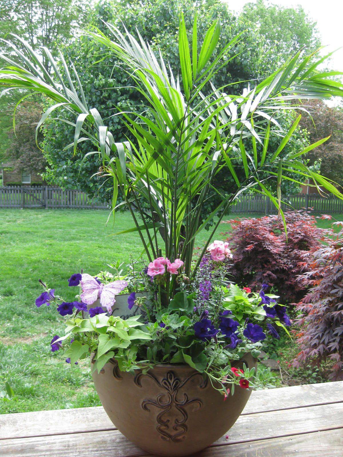 Wonderful Summer Container Garden Flower Ideas Page