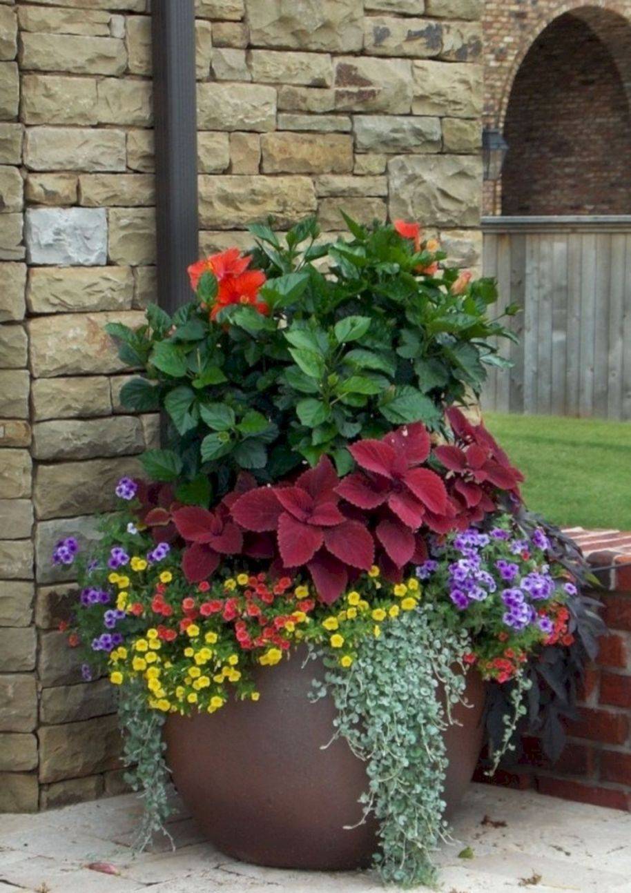 Beautiful Summer Container Garden Flowers Ideas Homekover
