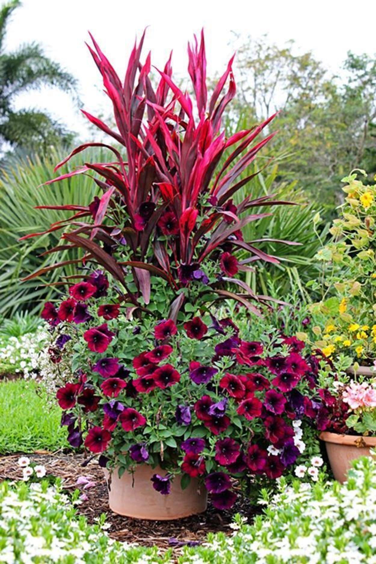 Best Stunning Summer Planter Ideas