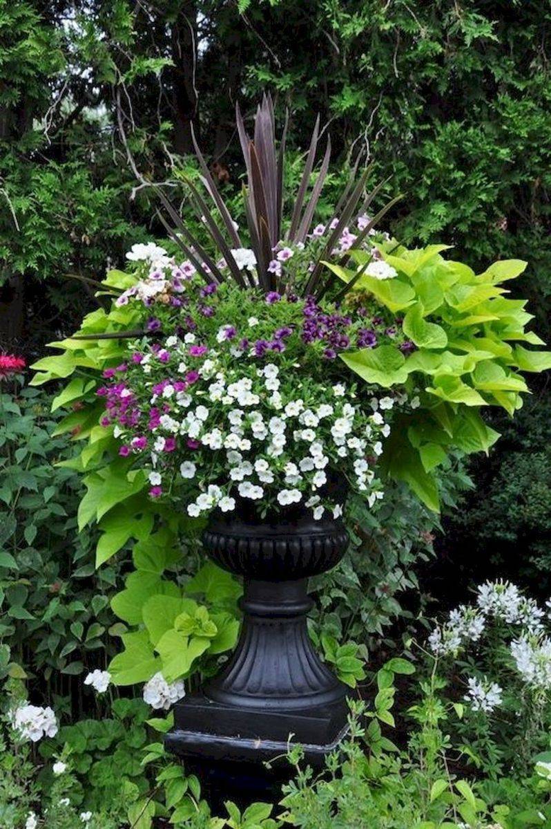 Container Pots Flowers Ideas Container Gardening Flowers