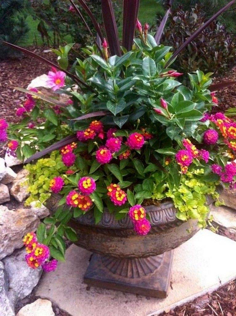 Cool Garden Decoration Ideas