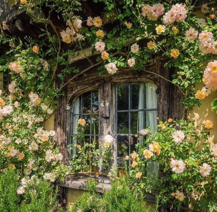English Cottage Garden