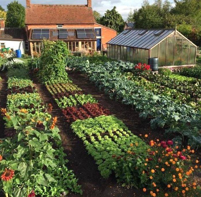Cottagecore Tumblr Small Cottage Garden Ideas