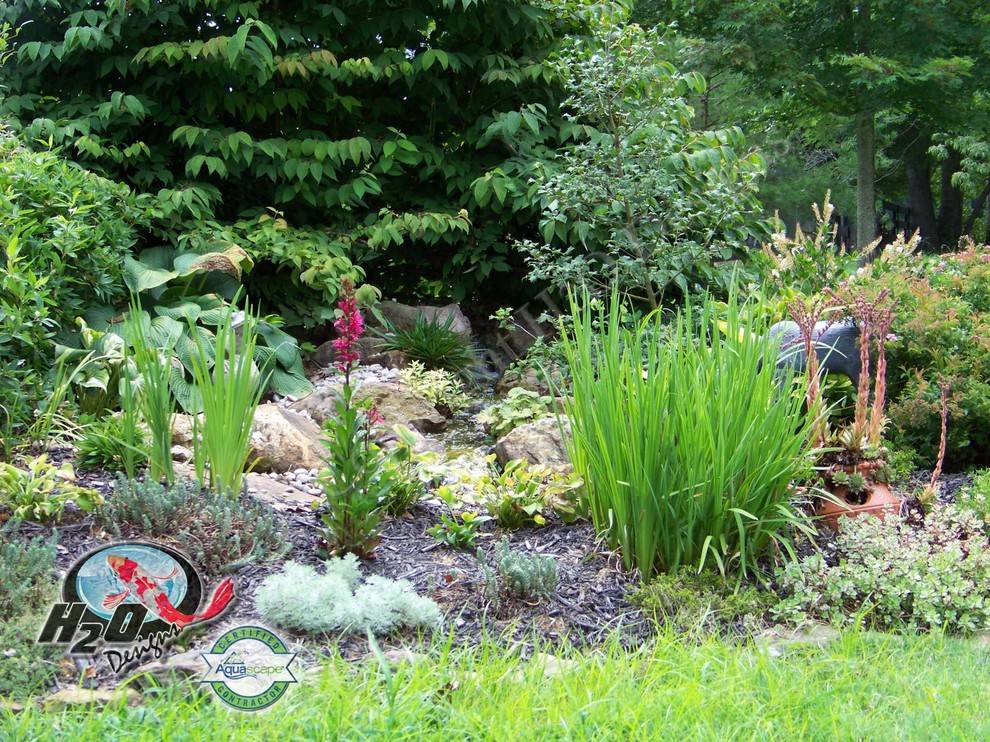 Late Spring Garden Stairs