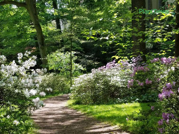 Your Kentucky Landscape Eclectic