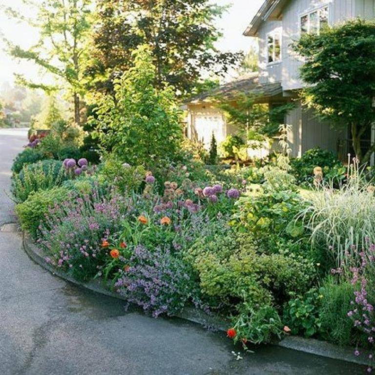 Wonderful Diy Garden