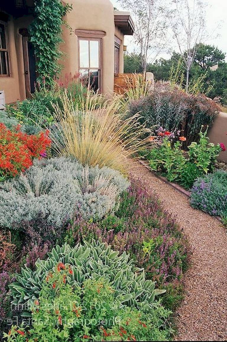 Wonderful Modern Garden