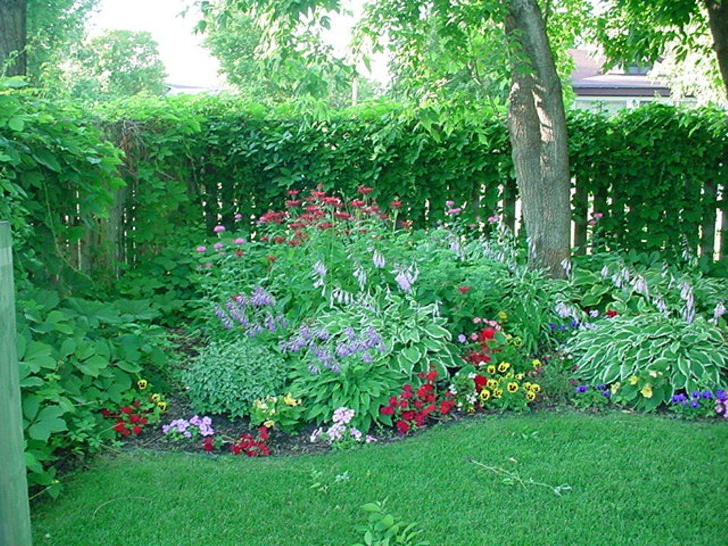 Google Perennial Garden Design