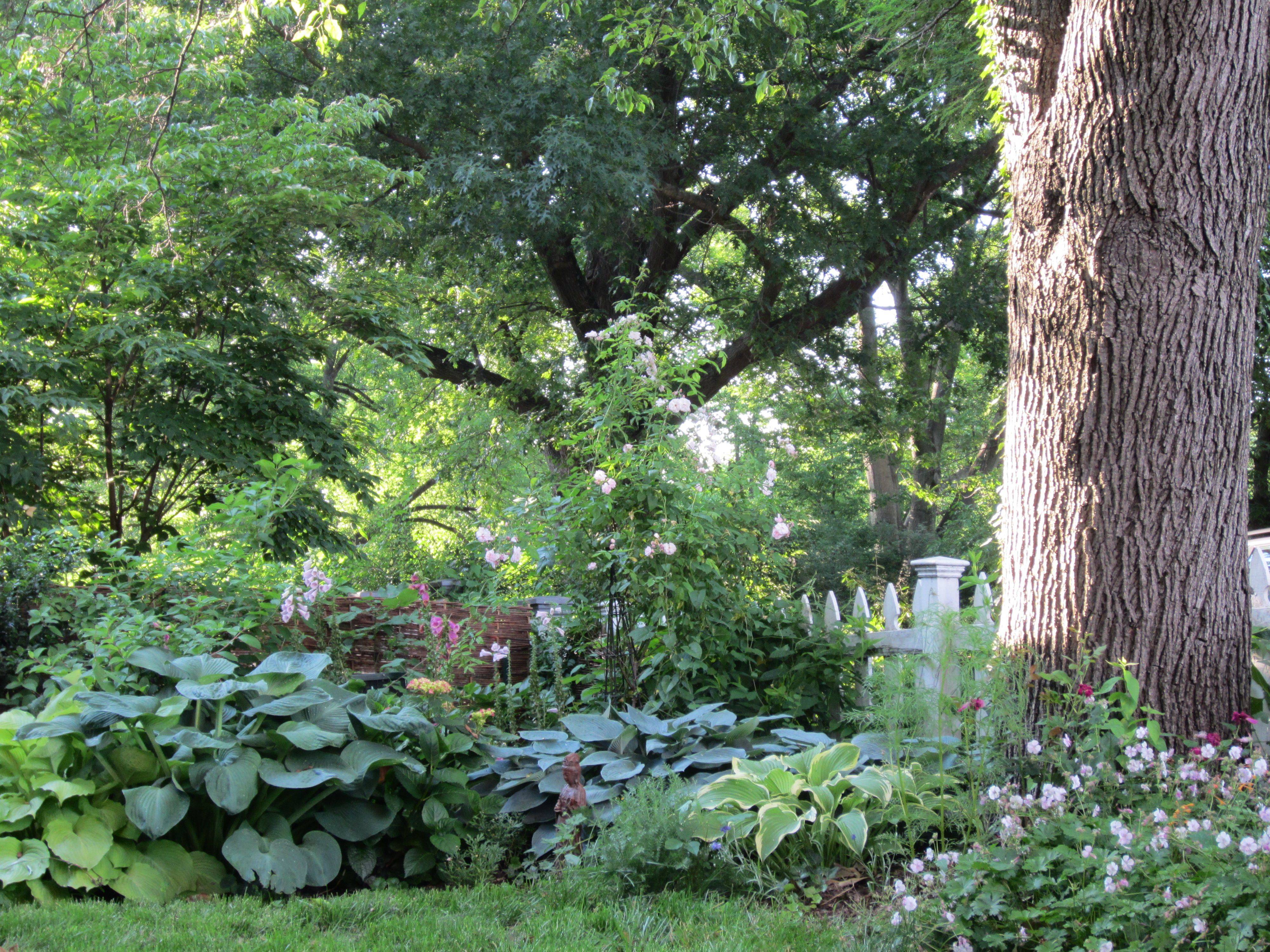 Types Small Cottage Flowers