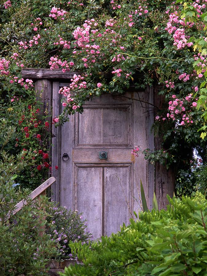 Stunning Rustic Garden Gates Ideas
