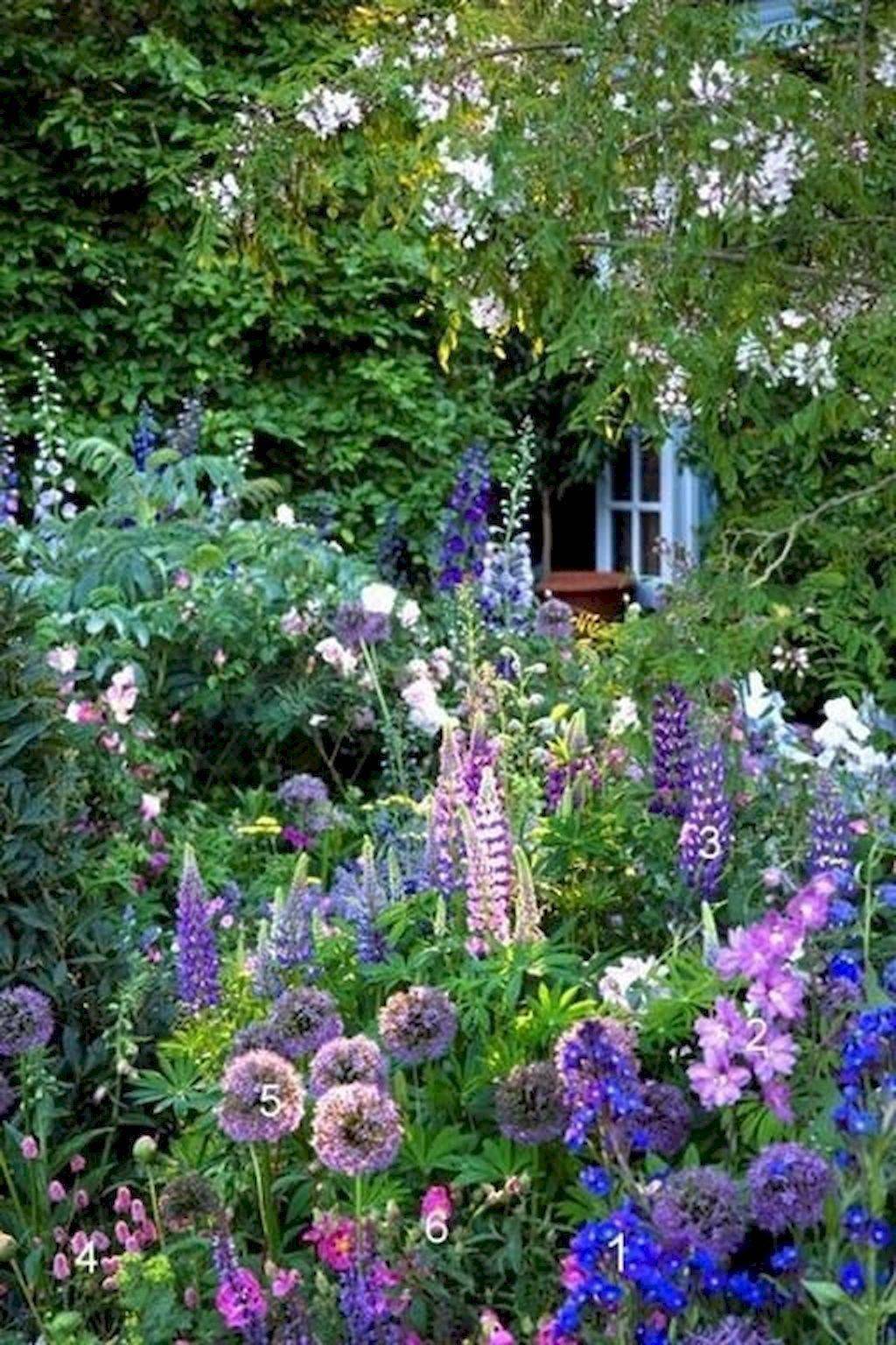 English Shade Garden Small Cottage Garden Ideas