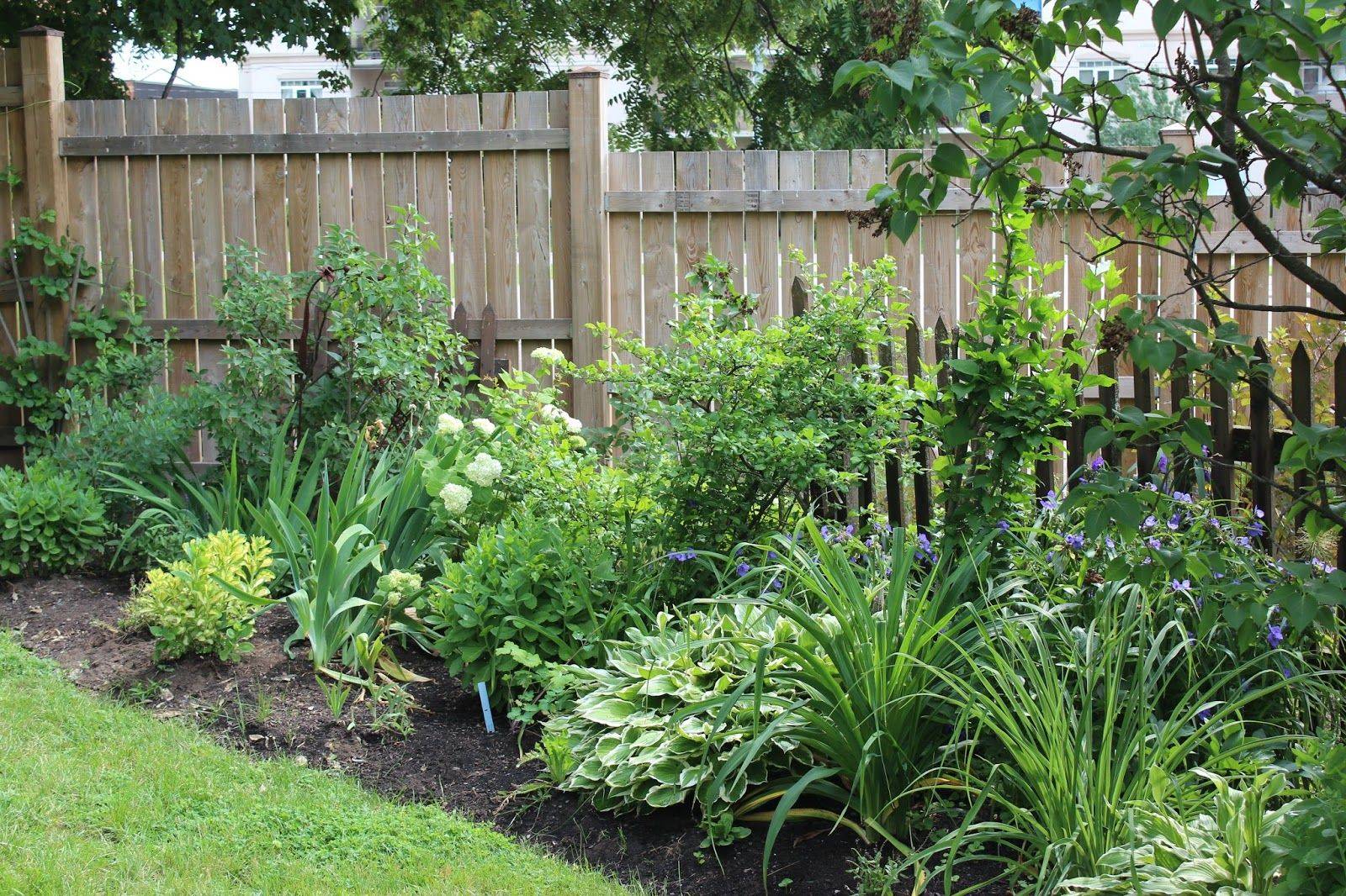 The Nicest Gardens