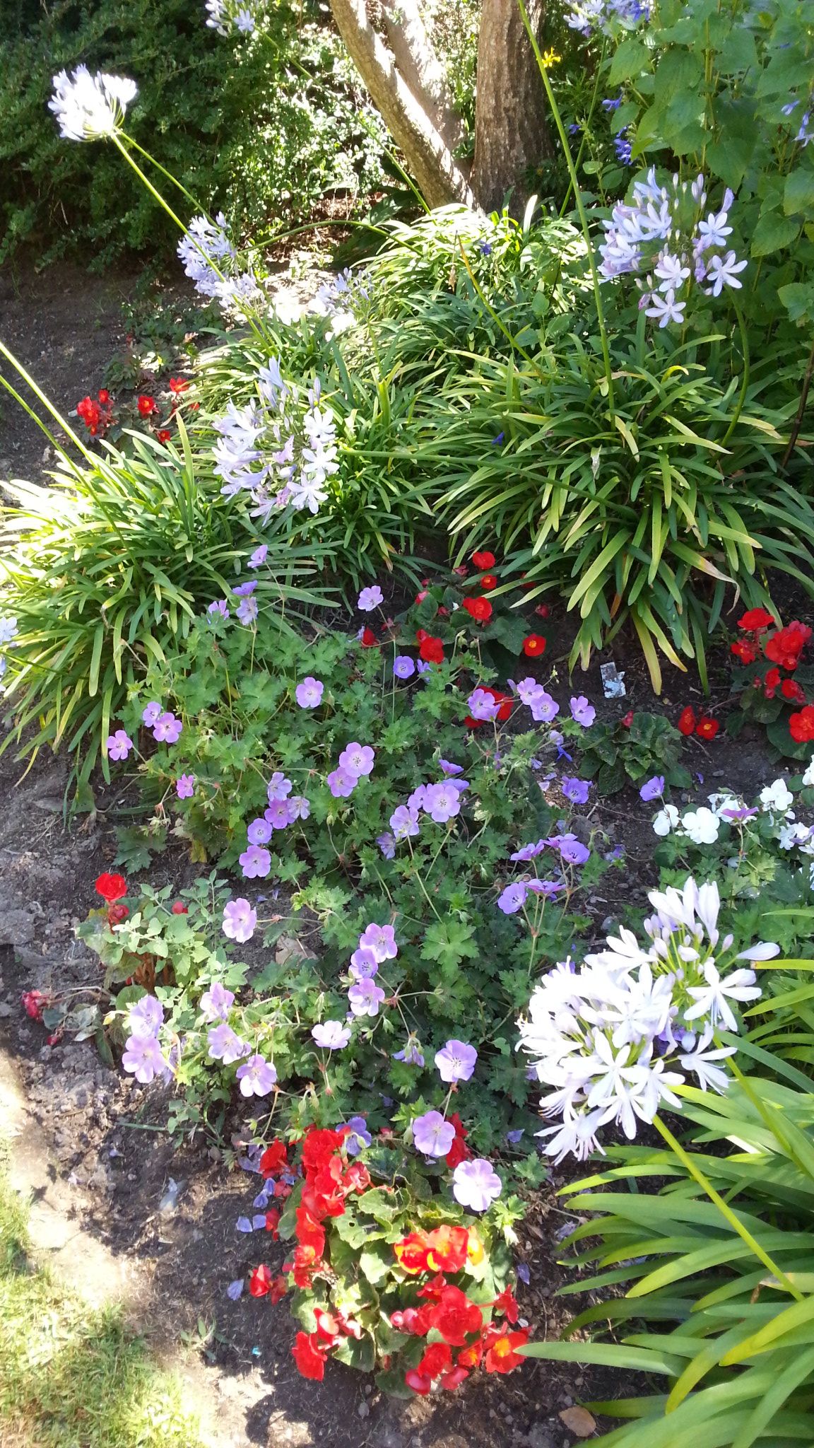 English Garden Design