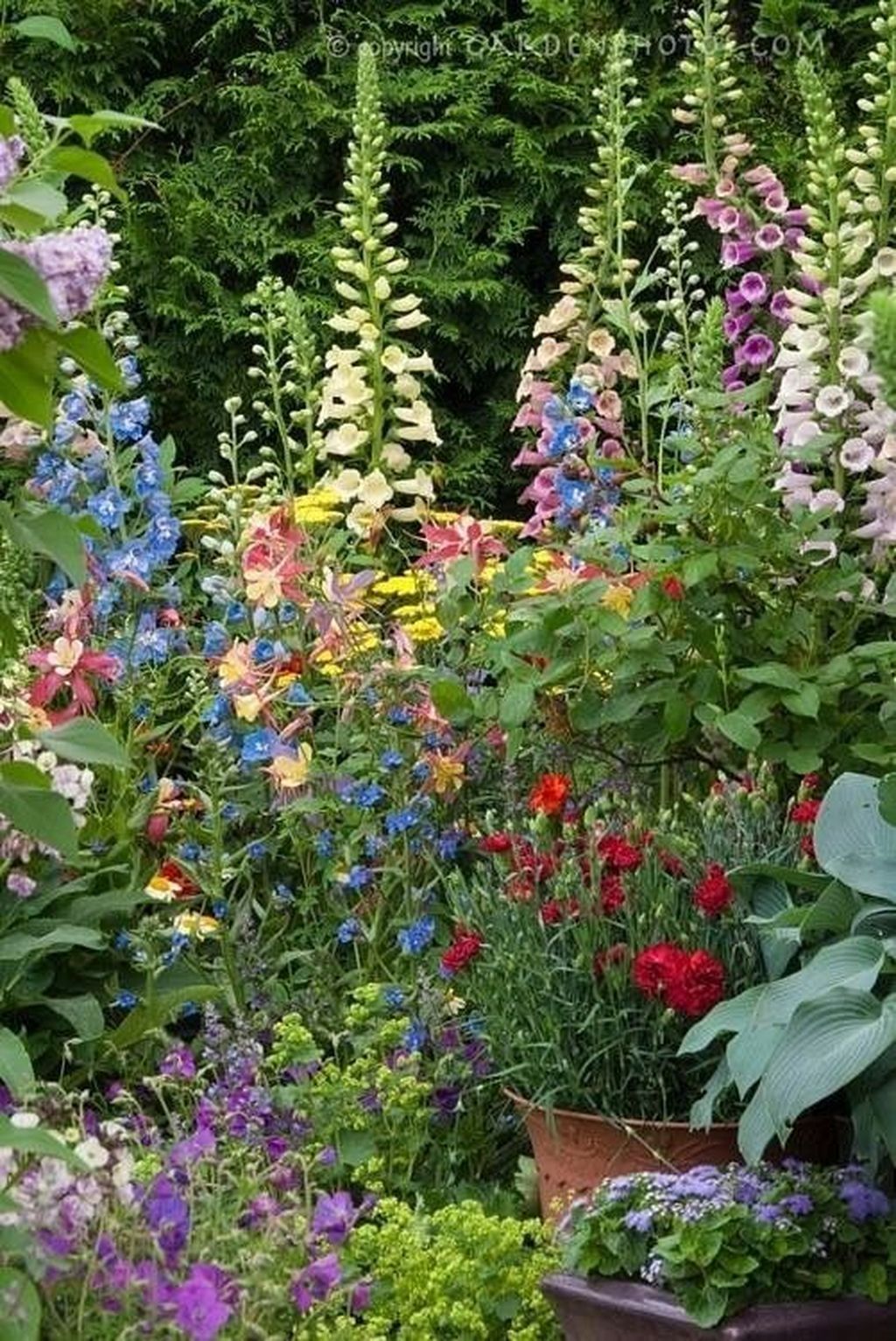English Garden Perennial Border English Gardens
