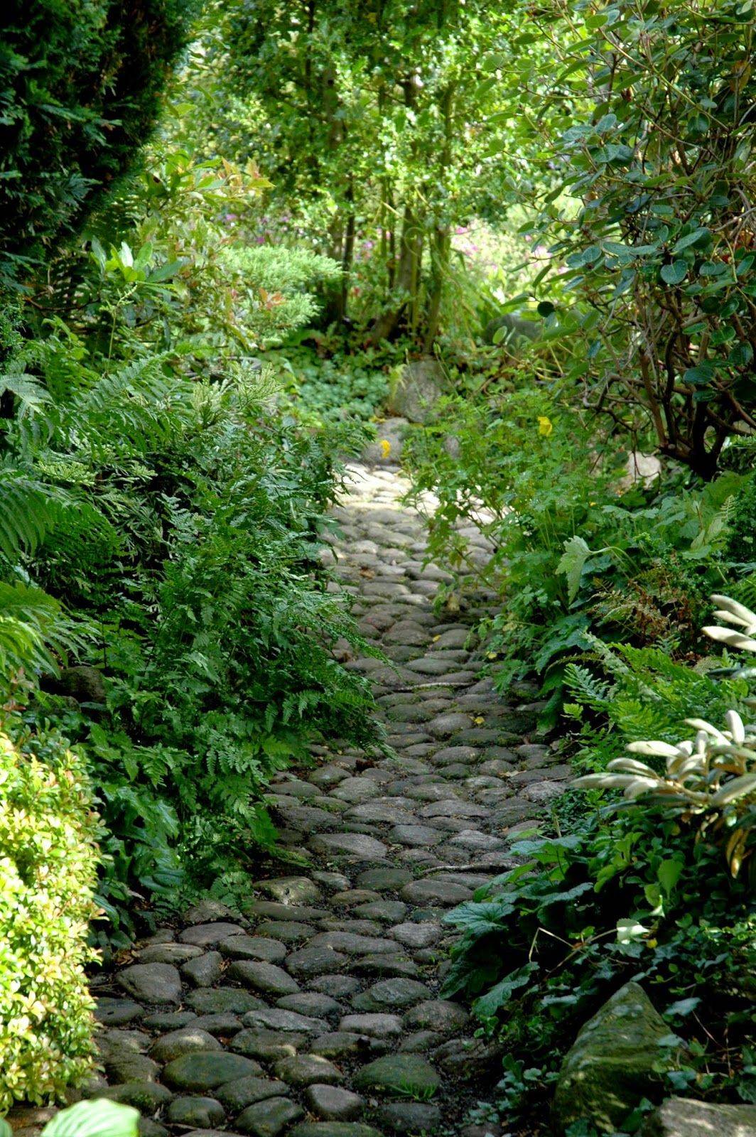 Back Woodland Garden