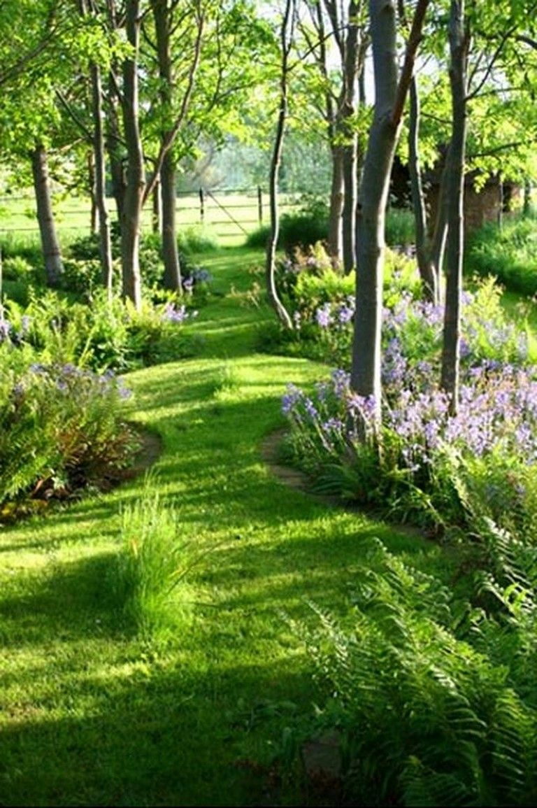 Home John Wood Woodland Garden