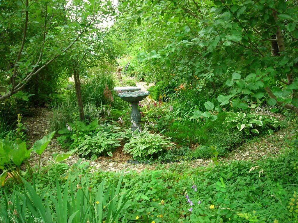Gorgeous Woodland Garden Landscaping Design Ideas