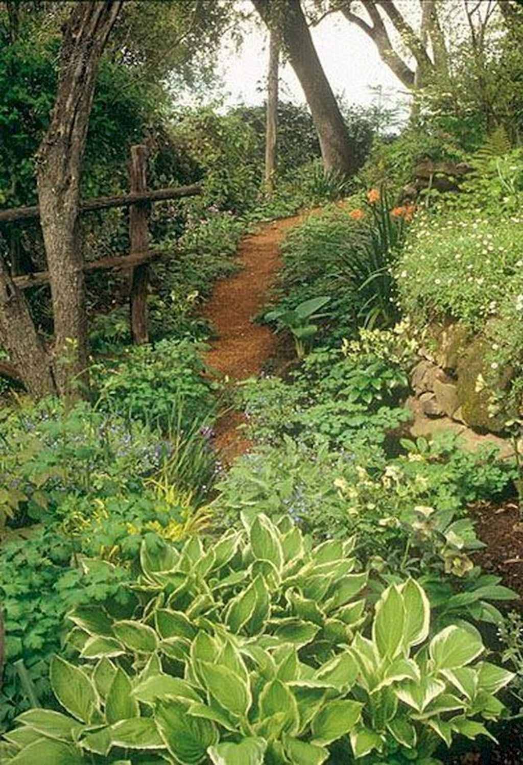 Our Woodland Garden Ideas