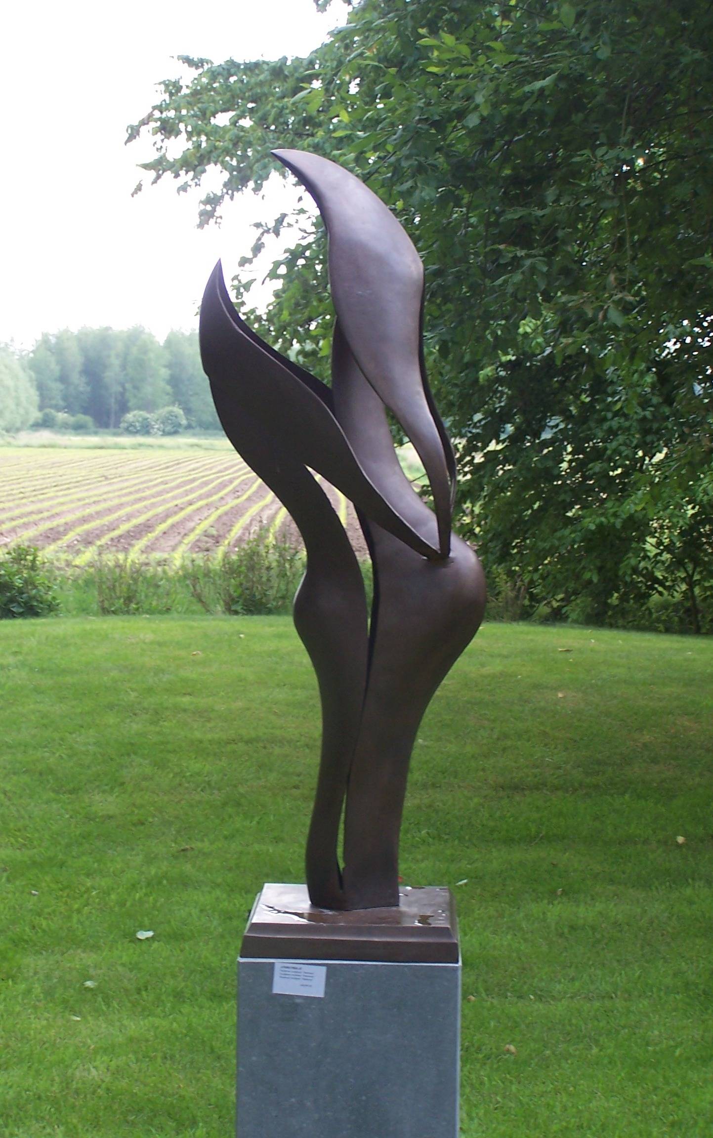 Abstract Garden Decor Modern