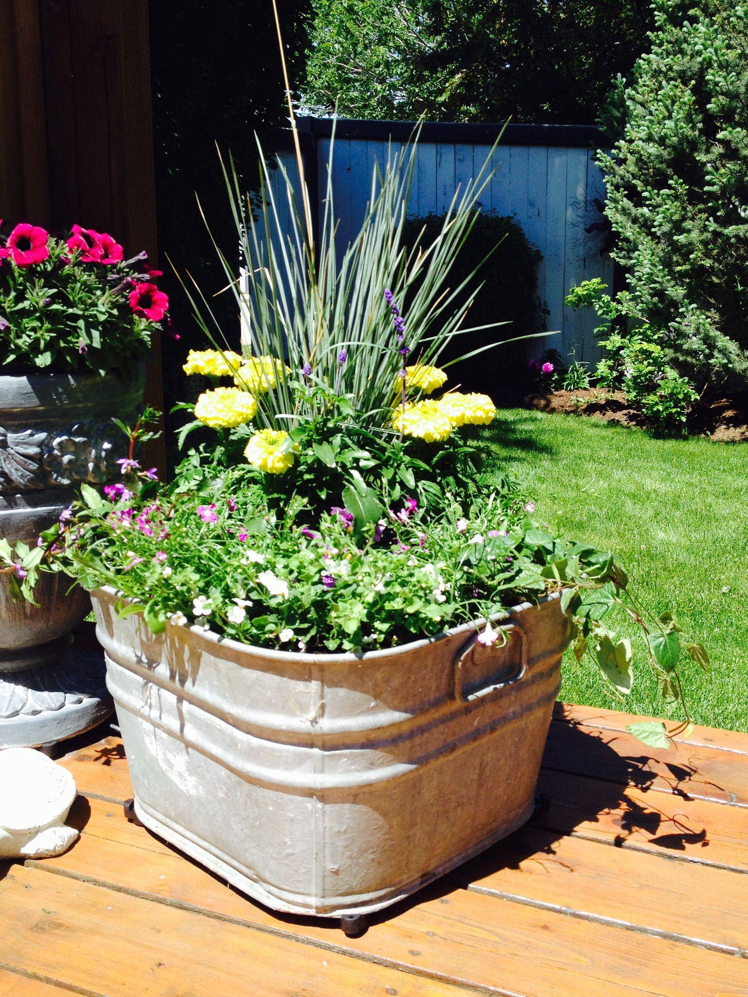 A Galvanized Tub Rustic Planters