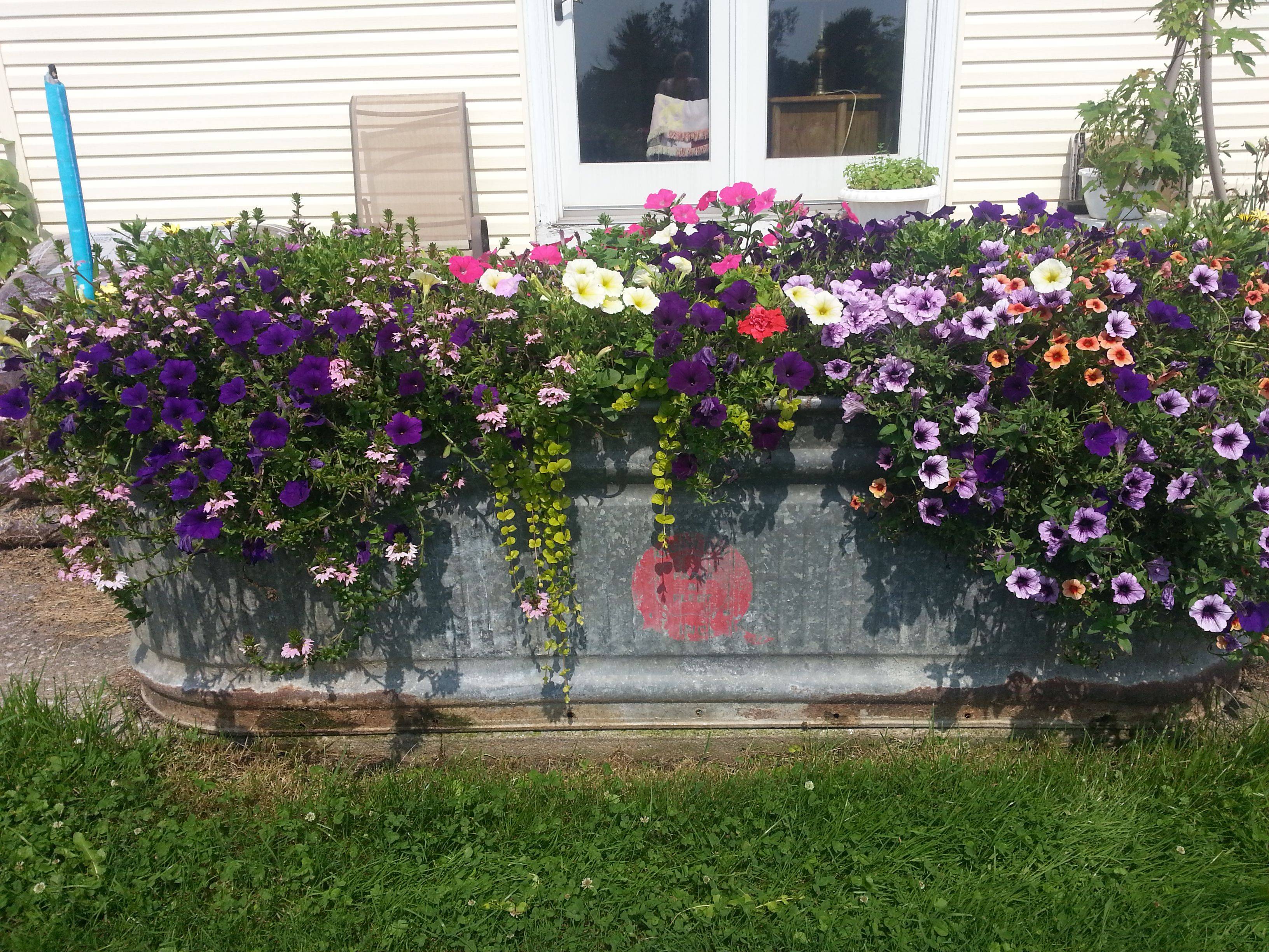 Galvanized Metal Tubs