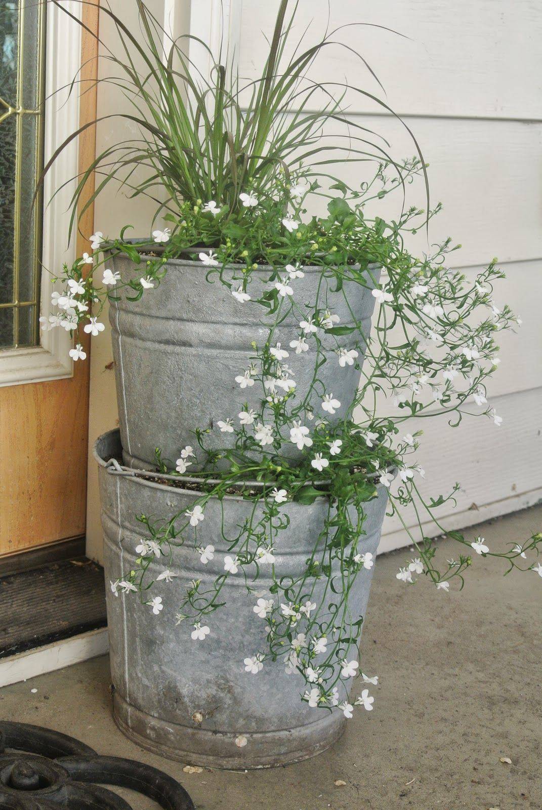 Galvanized Planters