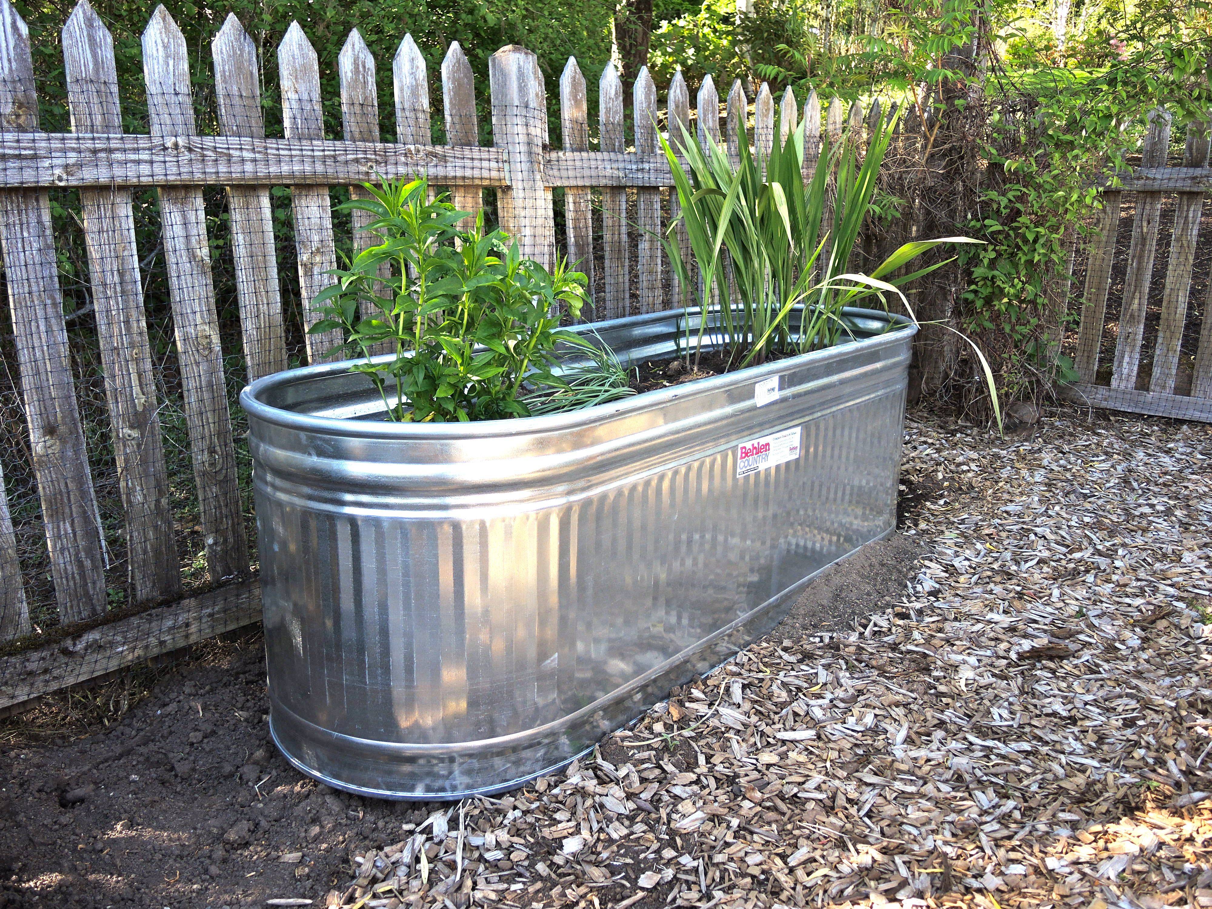 Large Metal Planters Ideas