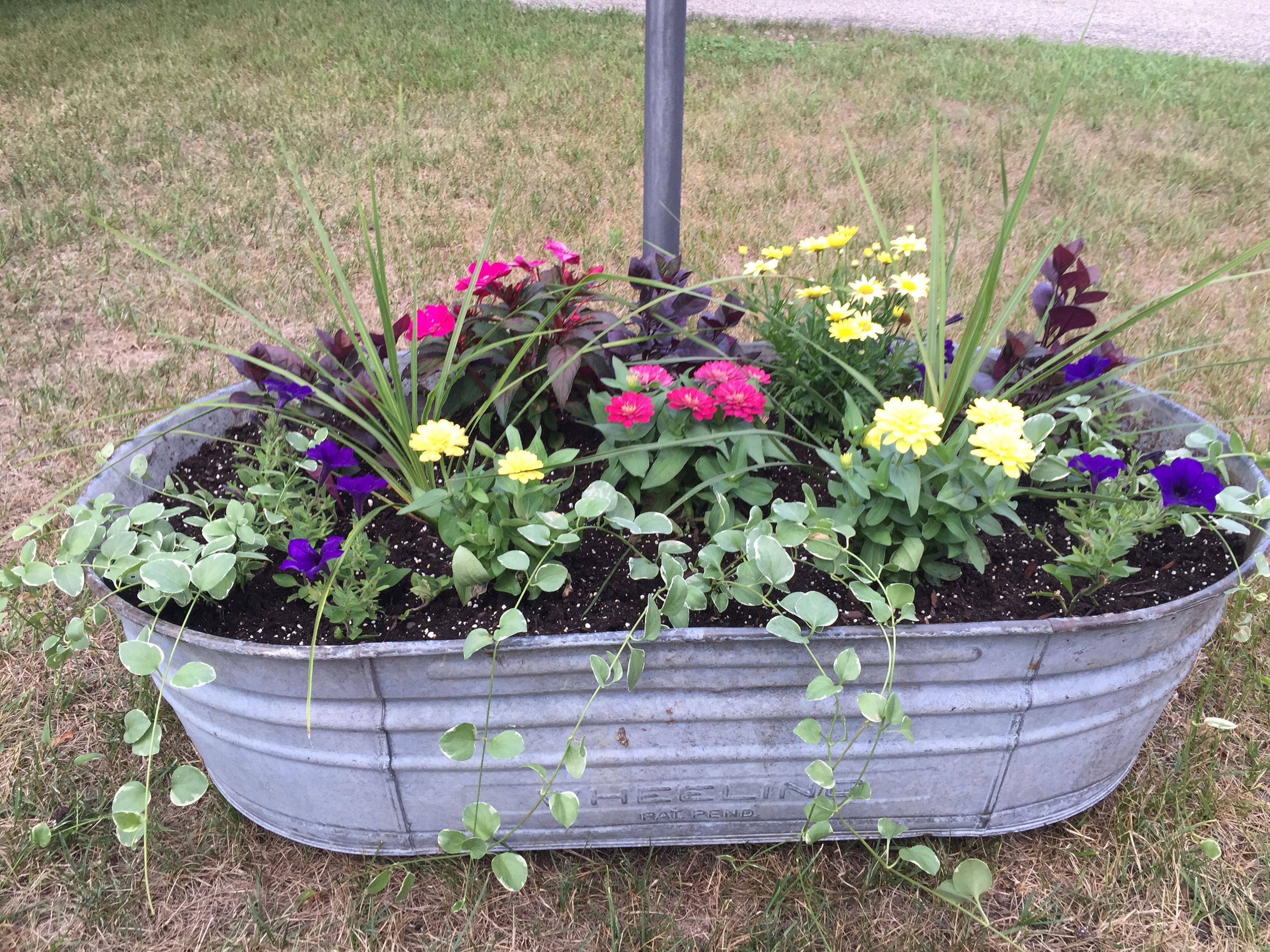 Tub Planter
