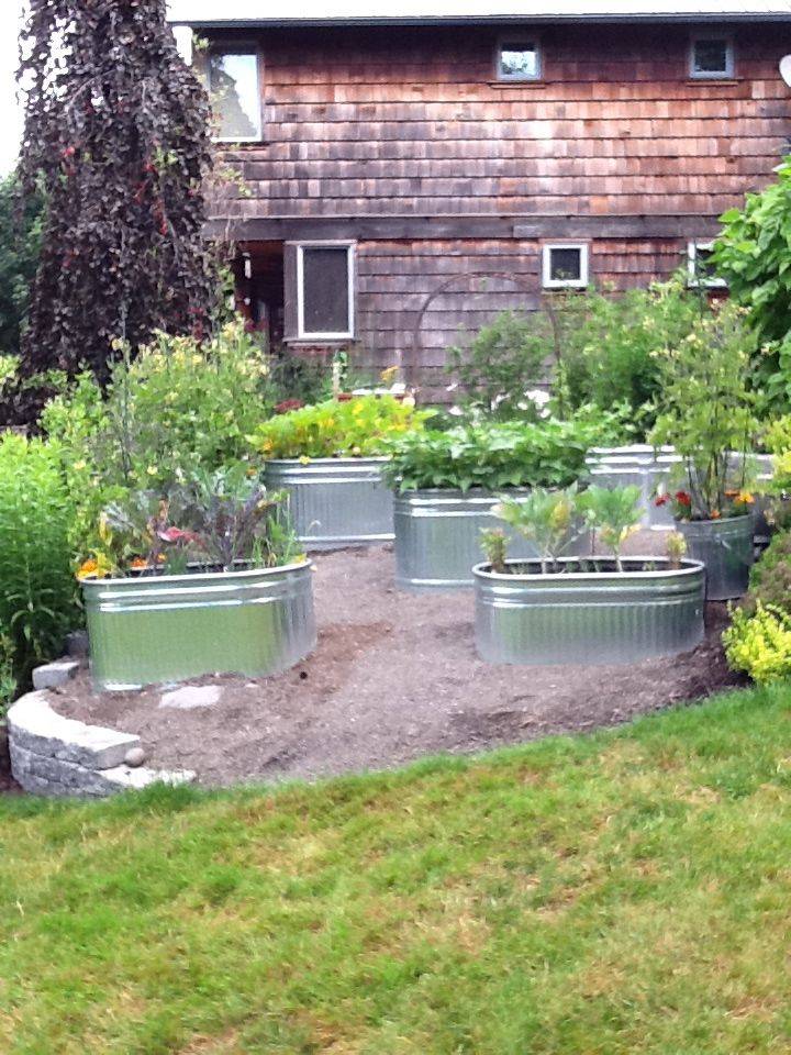 Garden Yard Ideas