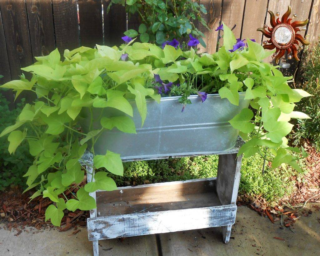25 Galvanized Tub Garden Ideas You Must Look SharonSable