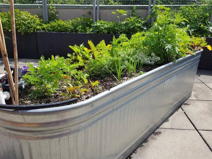 Inspiring Raised Garden Beds Best