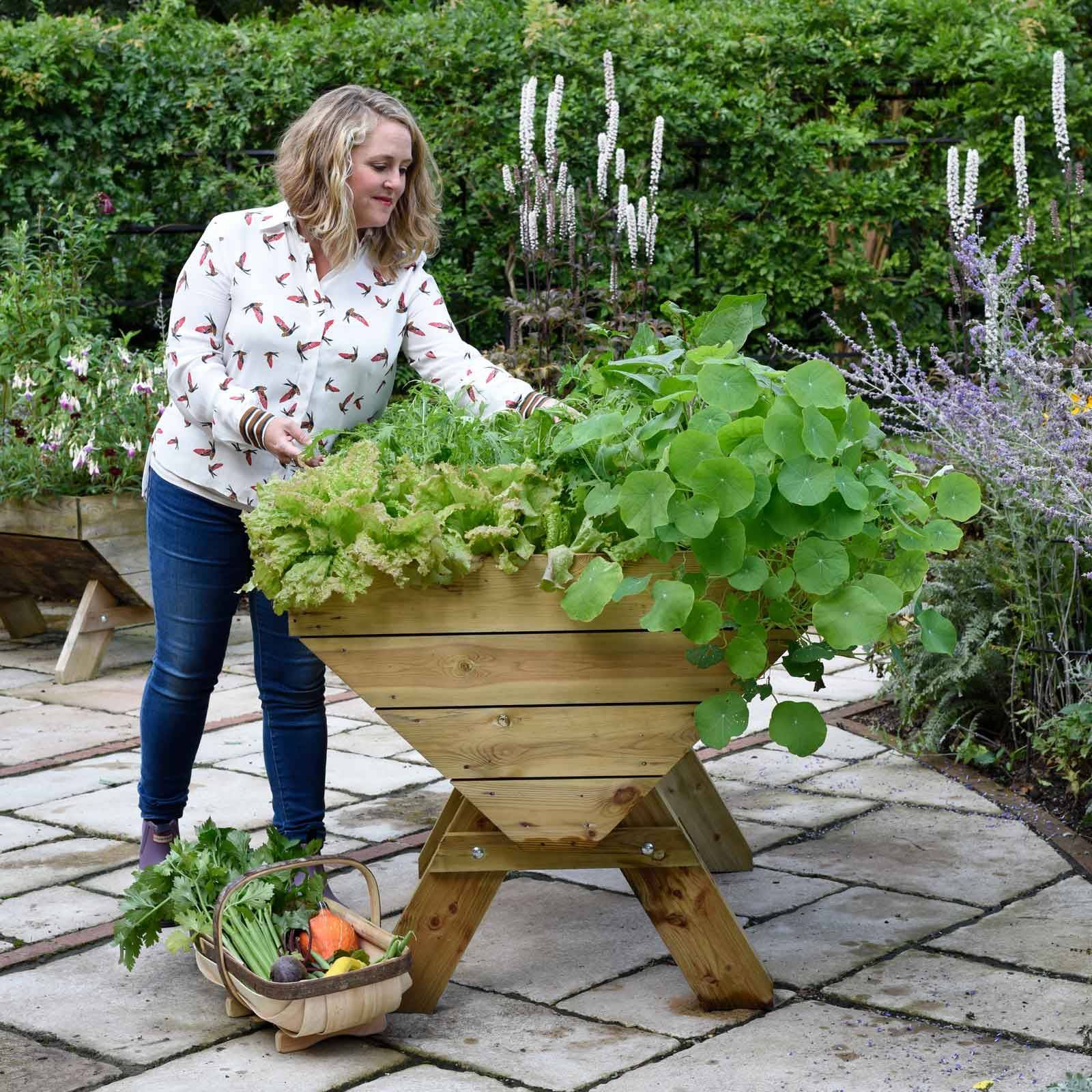 Mini Manger Trough Planters Garden Planters