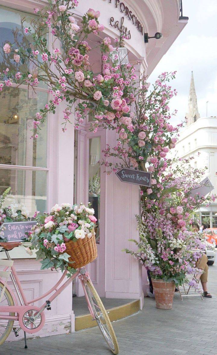 Shabby Chic Gardens Page