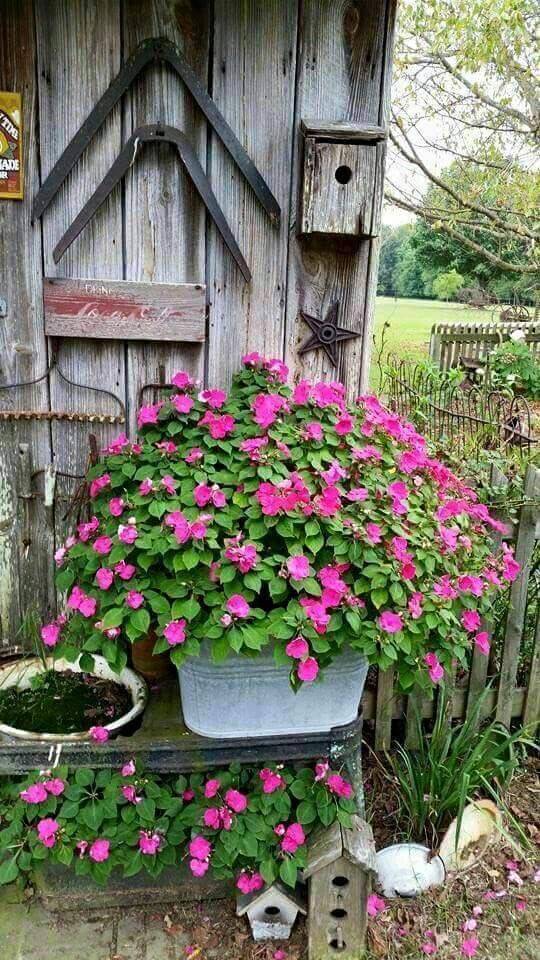 Country Garden Ideas Pinterest Photograph