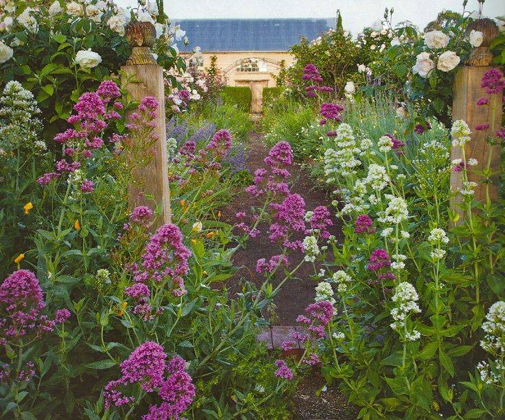 Country Garden Ideas Pinterest