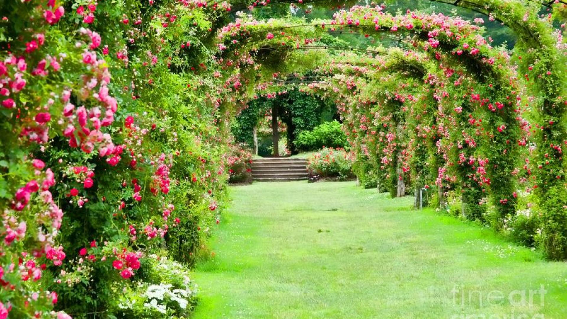 Japanese Garden Desktop Wallpaper