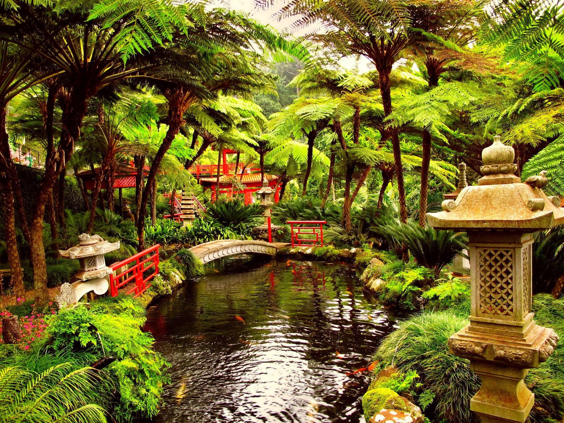 Peaceful Summer Garden Pictures