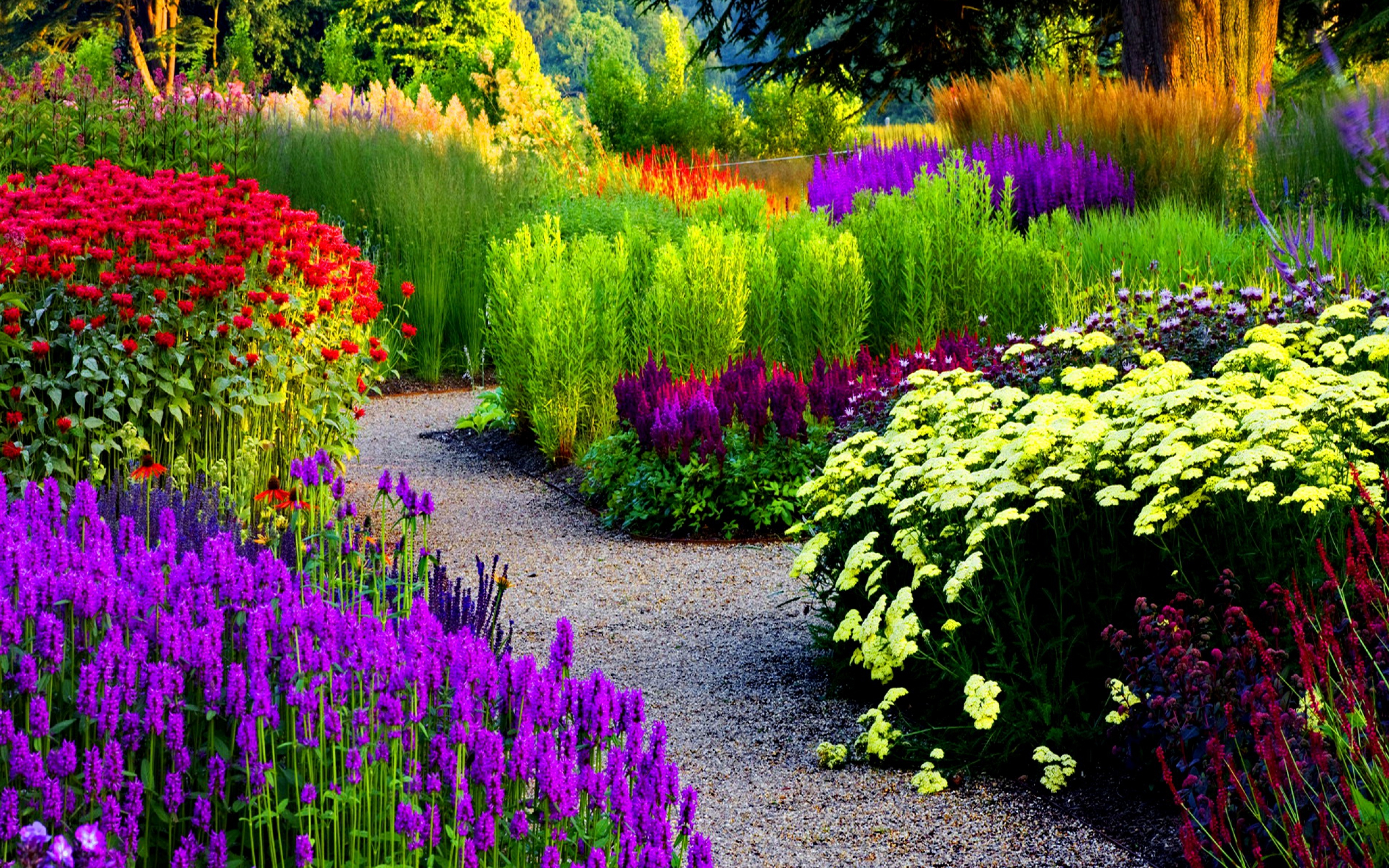 Peaceful Summer Garden Pictures