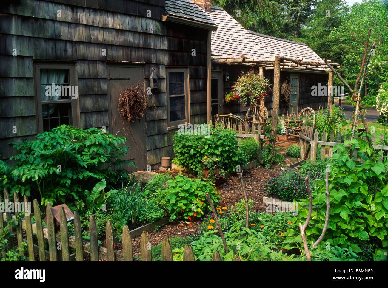 Fantastic Primitive Gardens Design Ideas