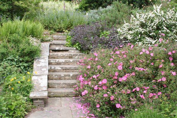 Foolproof Landscaping Ideas