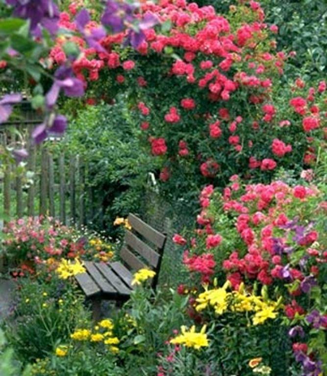 Fence Ideas