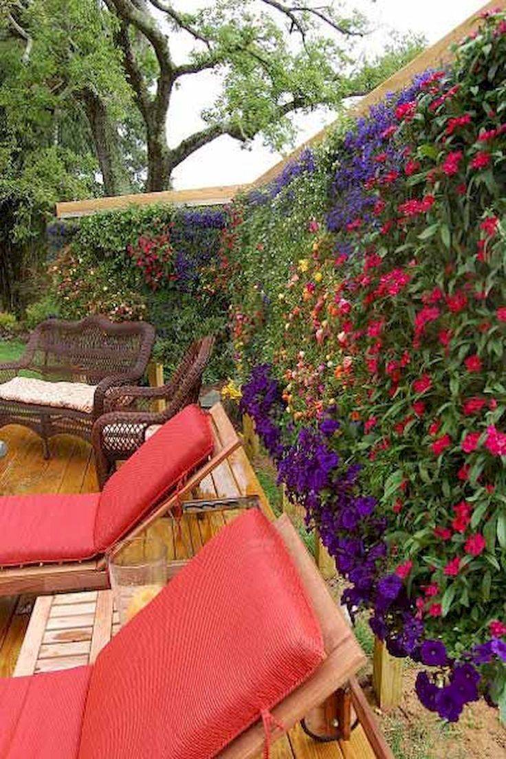 Best Vertical Gardening Ideas